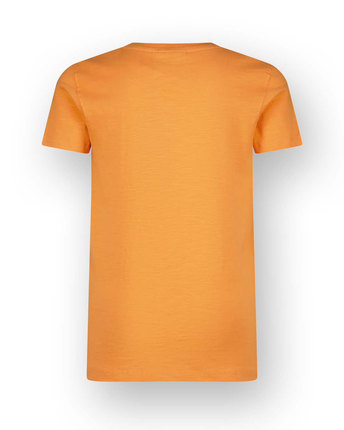 Miniatuur 2